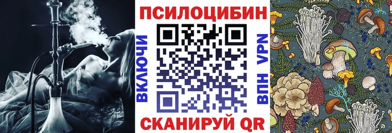 где продают наркотики Тверь кракен зеркало Псилоцибиновые грибы мухоморы